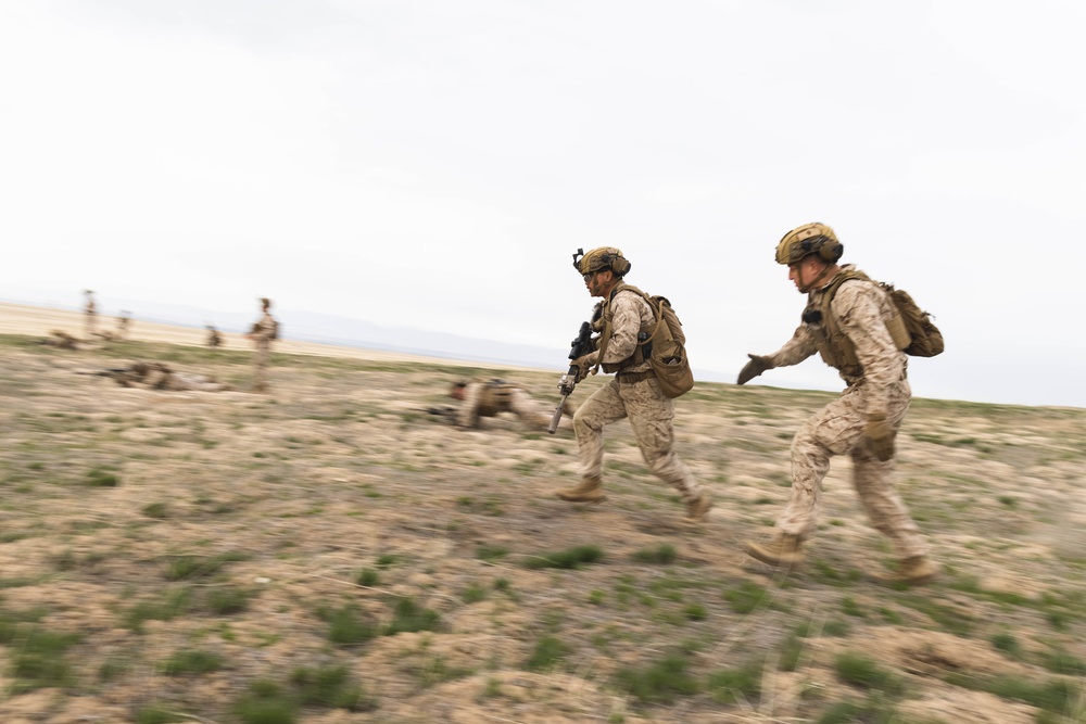 Exercise Garnet Rattler: Marines coordinate close air support