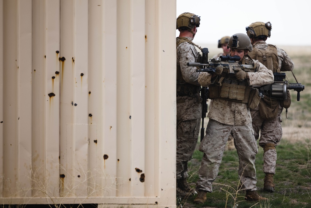 Exercise Garnet Rattler: Marines coordinate close air support