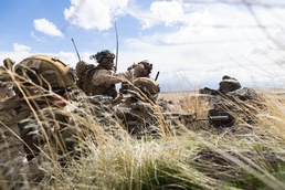 Exercise Garnet Rattler: Marines conduct urban assault at Saylor Creek Range