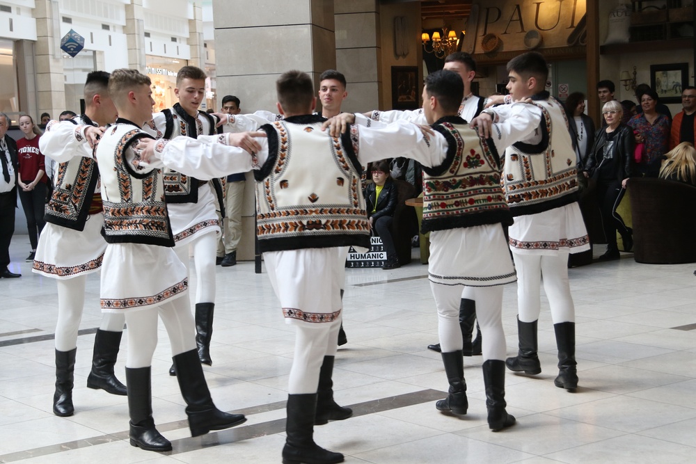 Romanian Land Forces Day