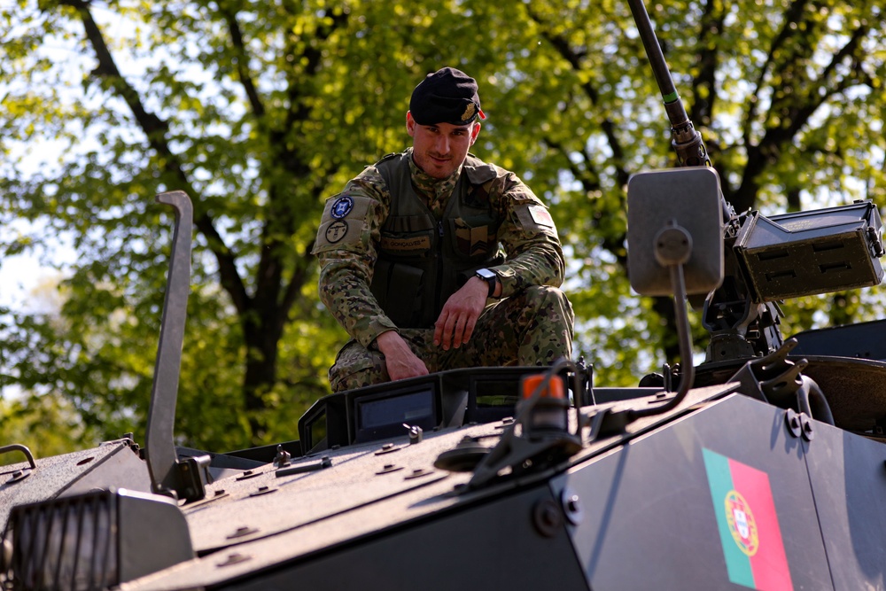 Romanian Land Forces Day