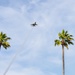 Soaring through the Cali skies