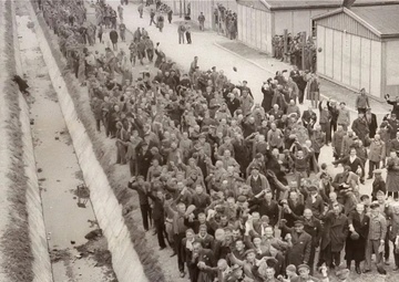 CIC Investigates Dachau Concentration Camp