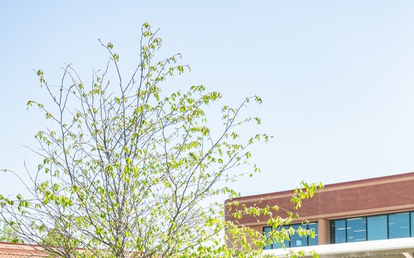 Tree Dedicated in Memory of COL Leon R. Yourtee, III