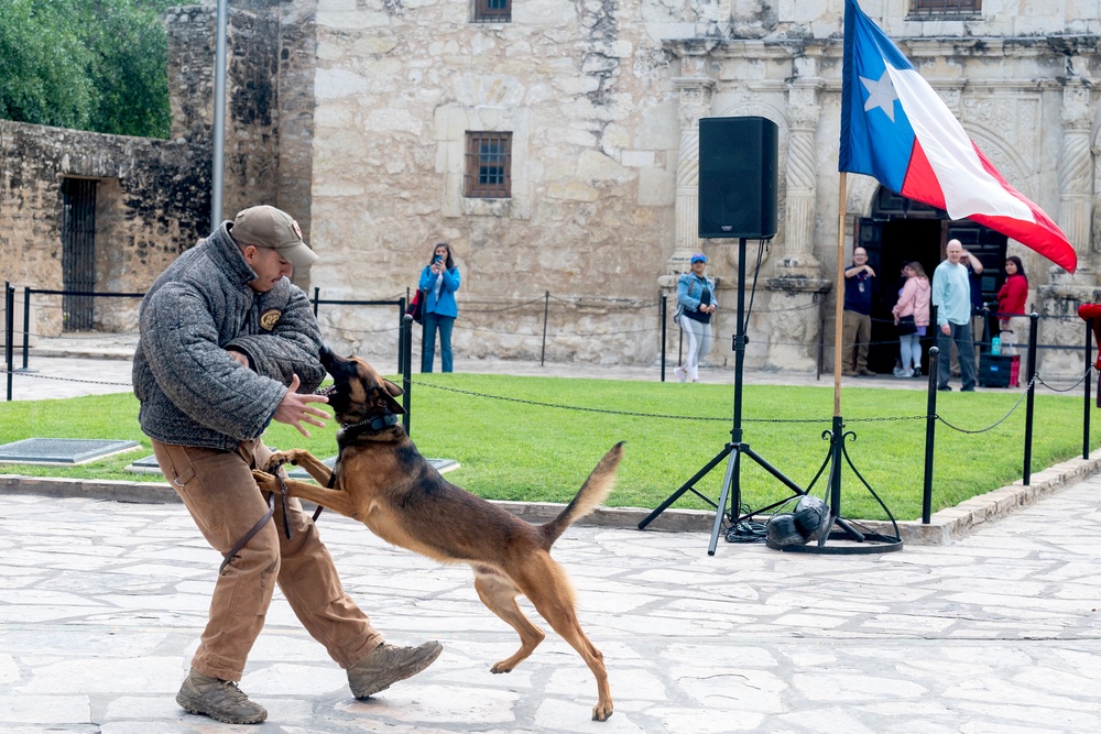 U.S. Air Force day at the Alamo