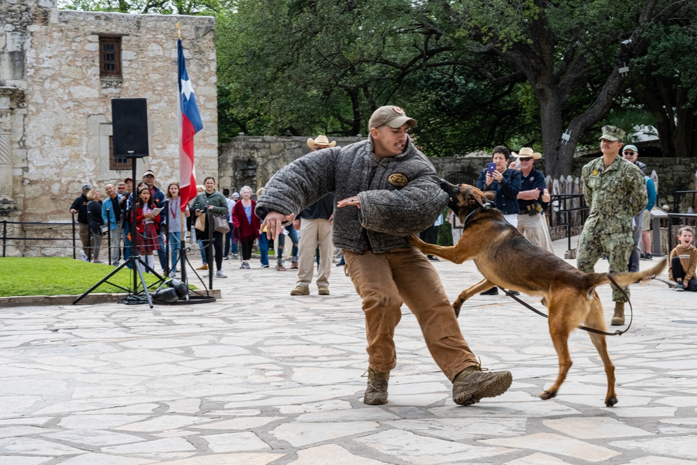 U.S. Air Force day at the Alamo