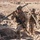 2nd Battalion, 2nd Marine Regiment, participate in ITX 3-23