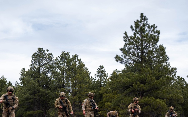 Exercise Furious Alpaca: Day 3