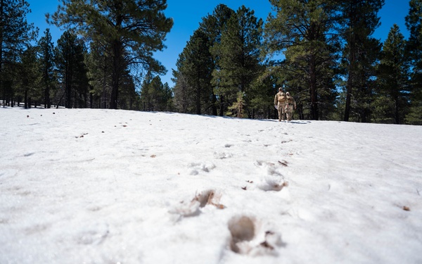 Exercise Furious Alpaca: Day 2