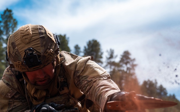 Exercise Furious Alpaca: Day 3