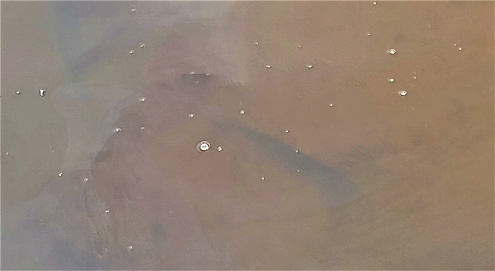 USFWS plants 15,000-plus rainbow trout at Fort McCoy for 2023 fishing season