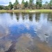 USFWS plants 15,000-plus rainbow trout at Fort McCoy for 2023 fishing season