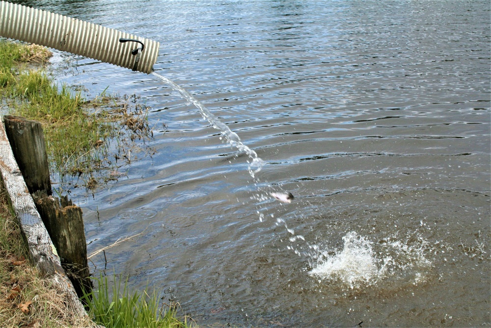 USFWS plants 15,000-plus rainbow trout at Fort McCoy for 2023 fishing season