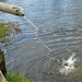 USFWS plants 15,000-plus rainbow trout at Fort McCoy for 2023 fishing season