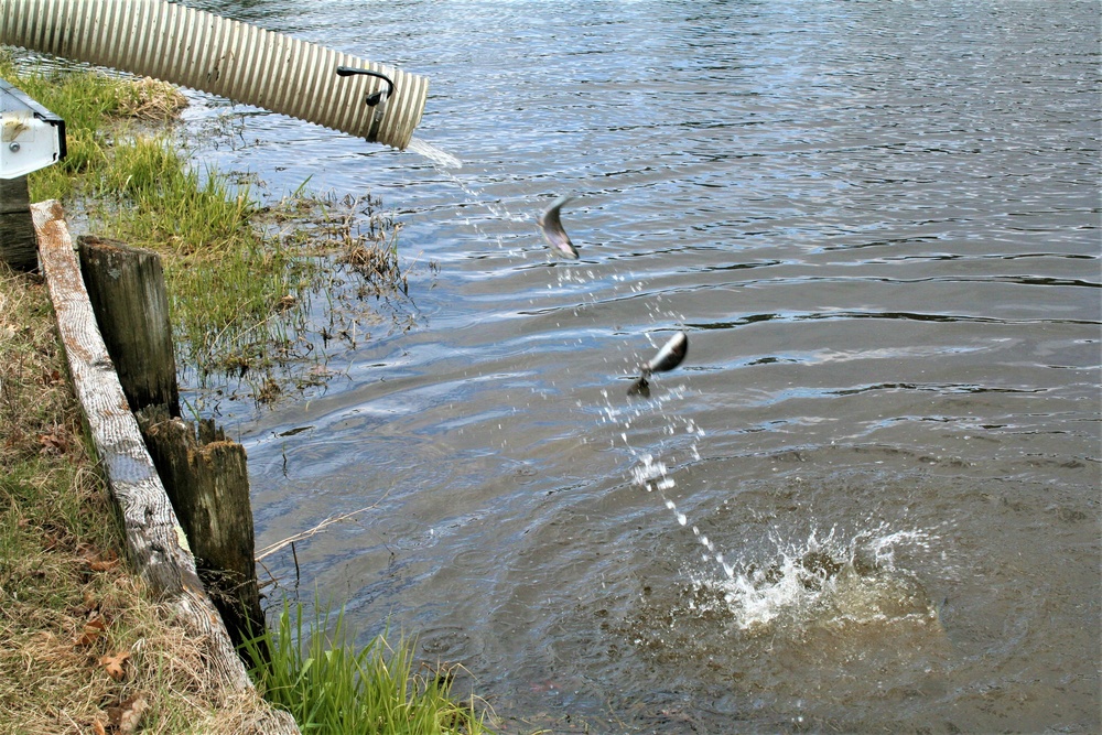 USFWS plants 15,000-plus rainbow trout at Fort McCoy for 2023 fishing season