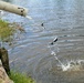 USFWS plants 15,000-plus rainbow trout at Fort McCoy for 2023 fishing season