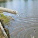 USFWS plants 15,000-plus rainbow trout at Fort McCoy for 2023 fishing season