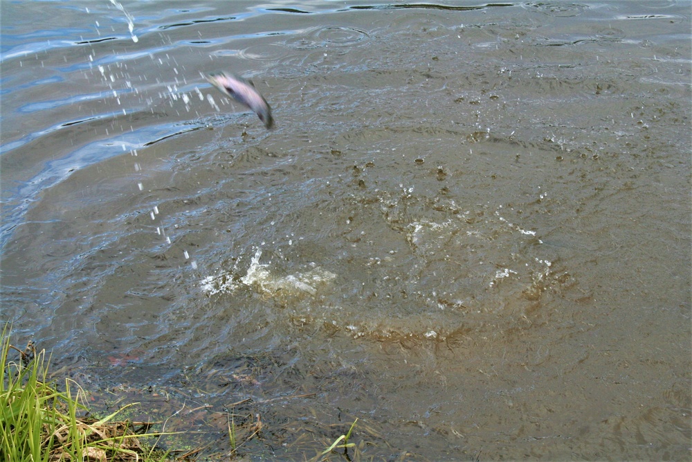 USFWS plants 15,000-plus rainbow trout at Fort McCoy for 2023 fishing season