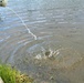 USFWS plants 15,000-plus rainbow trout at Fort McCoy for 2023 fishing season