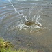 USFWS plants 15,000-plus rainbow trout at Fort McCoy for 2023 fishing season