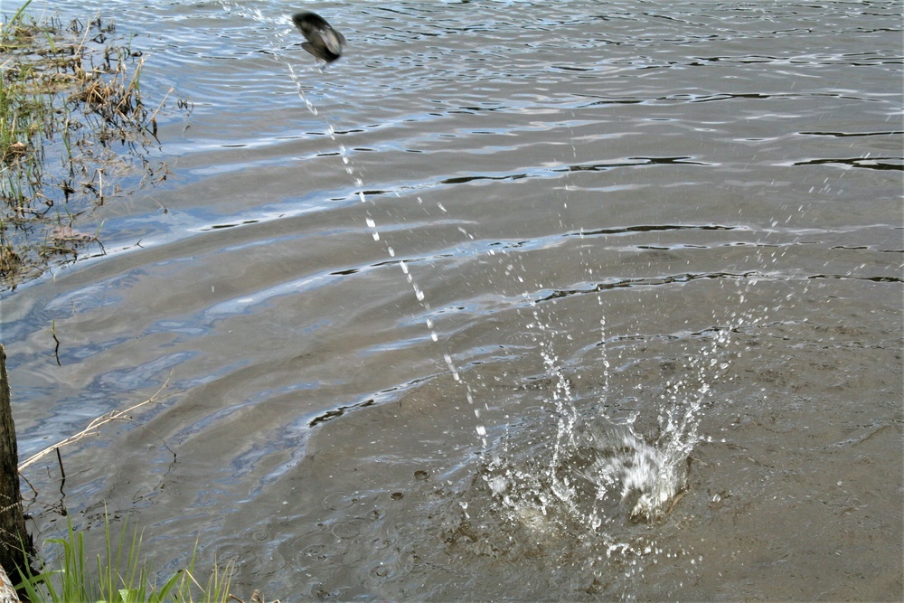 USFWS plants 15,000-plus rainbow trout at Fort McCoy for 2023 fishing season