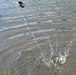 USFWS plants 15,000-plus rainbow trout at Fort McCoy for 2023 fishing season