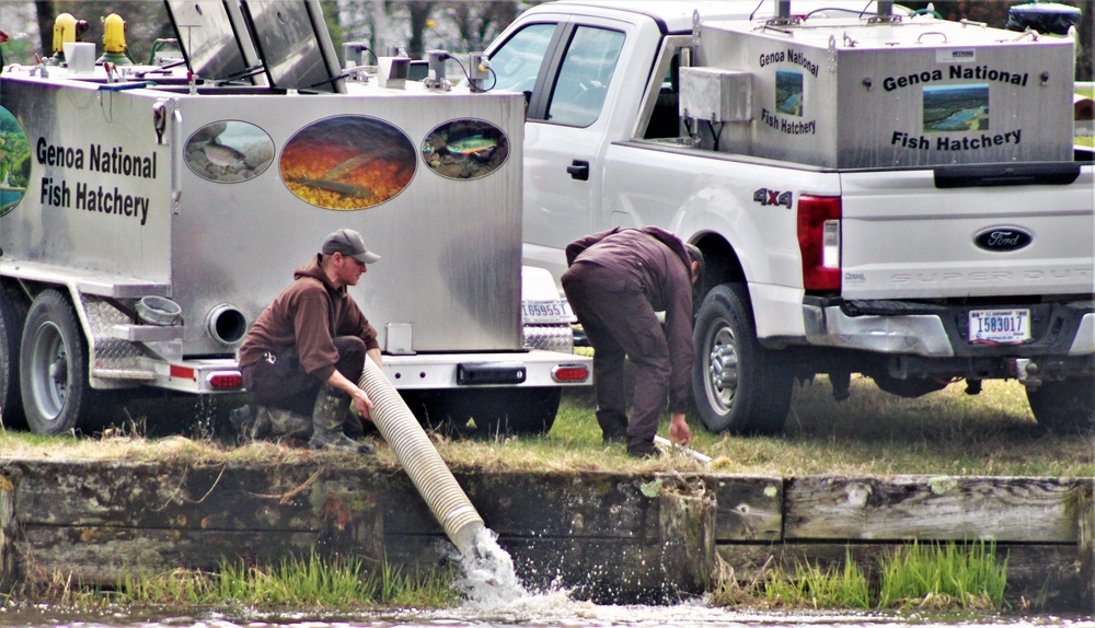 USFWS plants 15,000-plus rainbow trout at Fort McCoy for 2023 fishing season