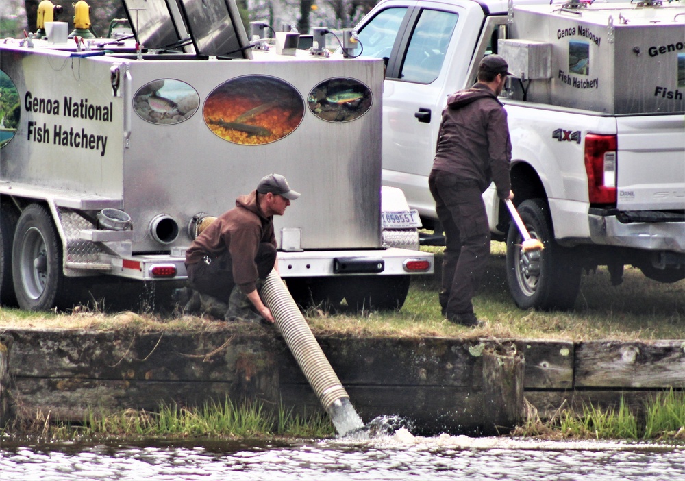 USFWS plants 15,000-plus rainbow trout at Fort McCoy for 2023 fishing season