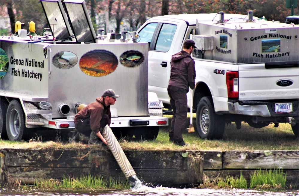 USFWS plants 15,000-plus rainbow trout at Fort McCoy for 2023 fishing season