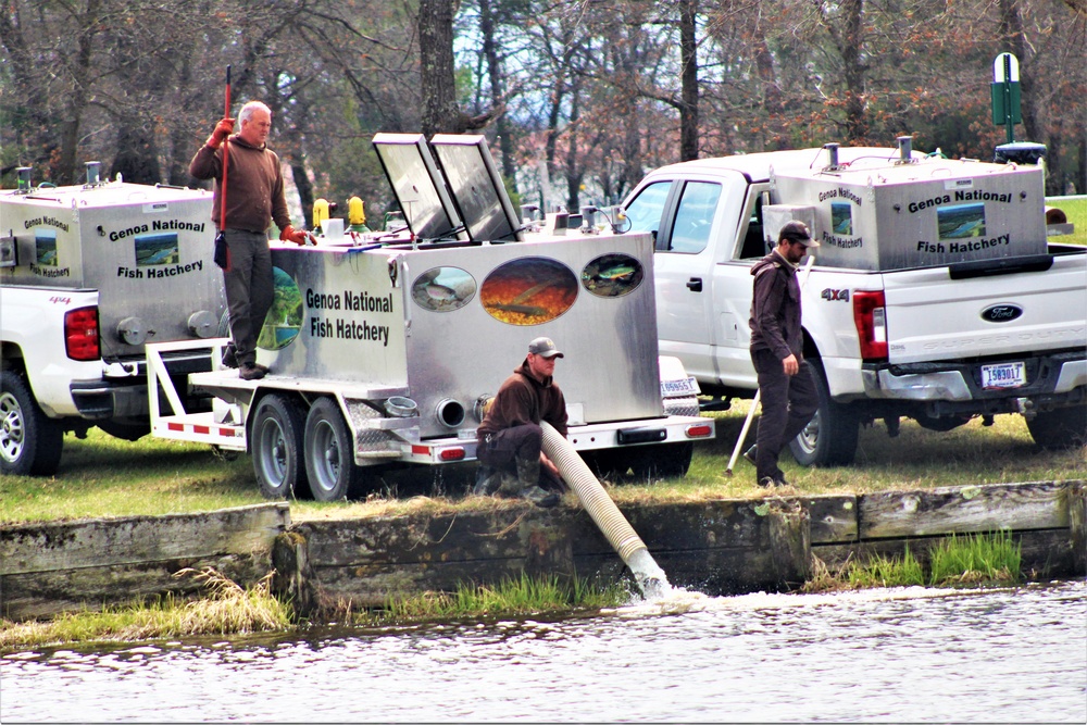 USFWS plants 15,000-plus rainbow trout at Fort McCoy for 2023 fishing season