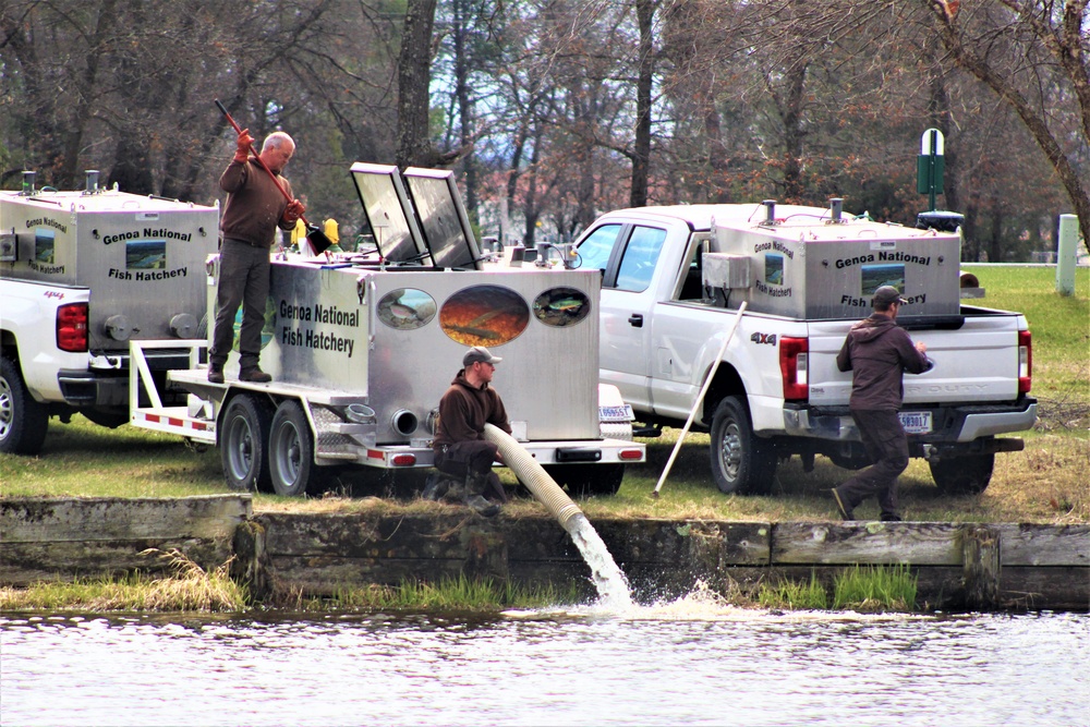 USFWS plants 15,000-plus rainbow trout at Fort McCoy for 2023 fishing season