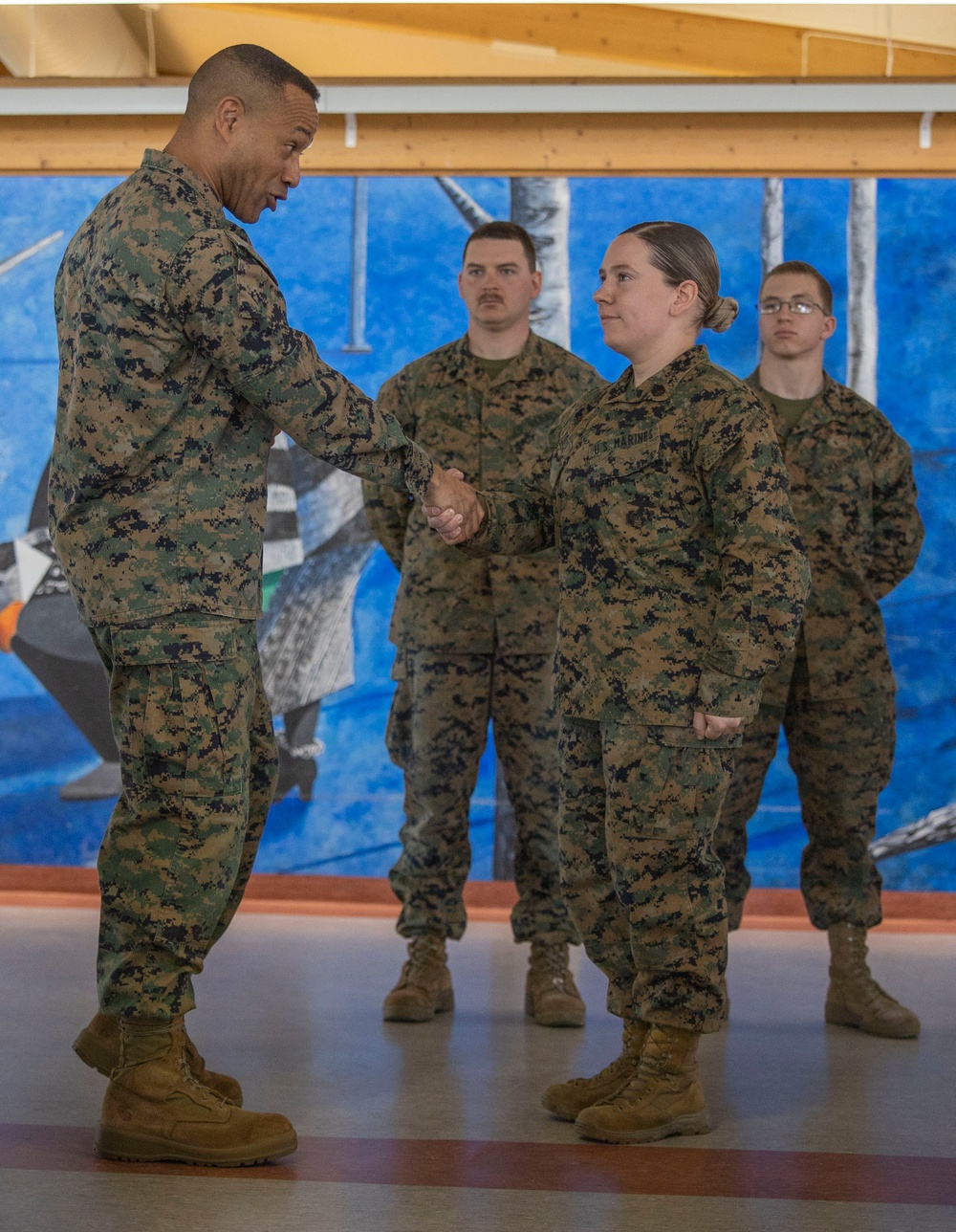 2d Marine Division Commanding General Visits MRF-E 23.1 Marines in Sweden