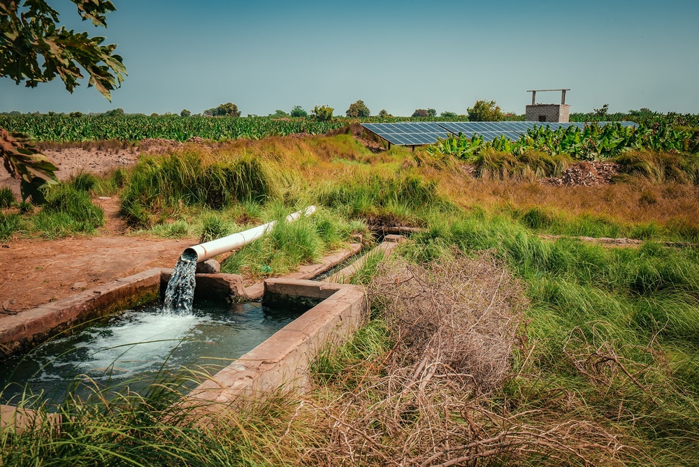 Solar-powered water pumps are highly efficient, cost less, and run well.