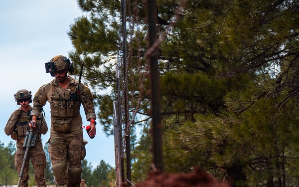 Exercise Furious Alpaca: Day 3