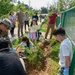 Osan Elementary plants trees for Earth Day