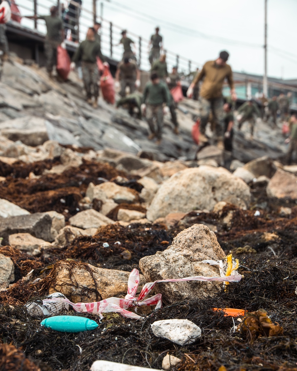 US Marines, Republic of Korea Marines and Sailors, and local community volunteers help clean the earth