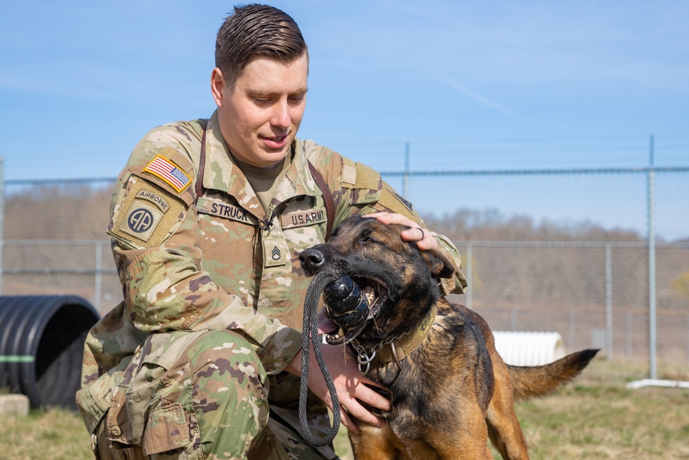 928th Military Working Dog Detachment