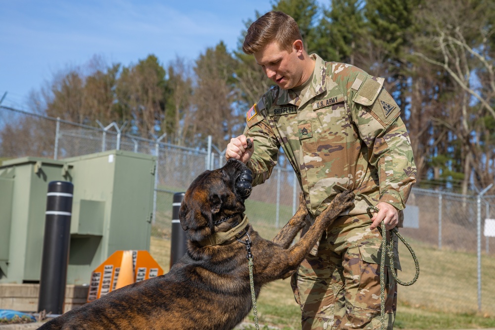 928th Military Working Dog Detachment