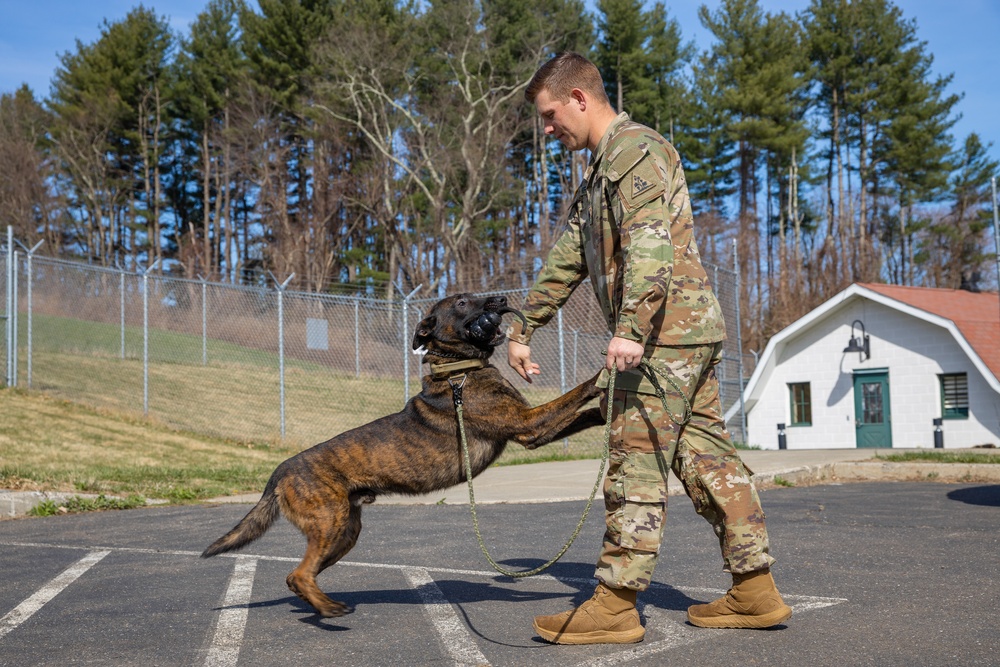 928th Military Working Dog Detachment