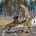 928th Military Working Dog Detachment