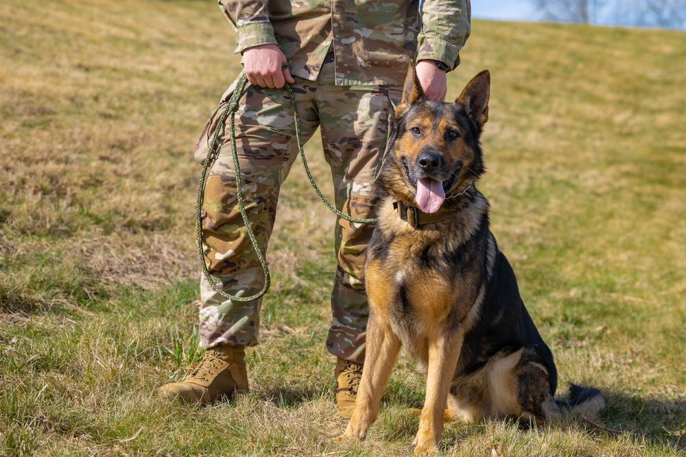 928th Military Working Dog Detachment