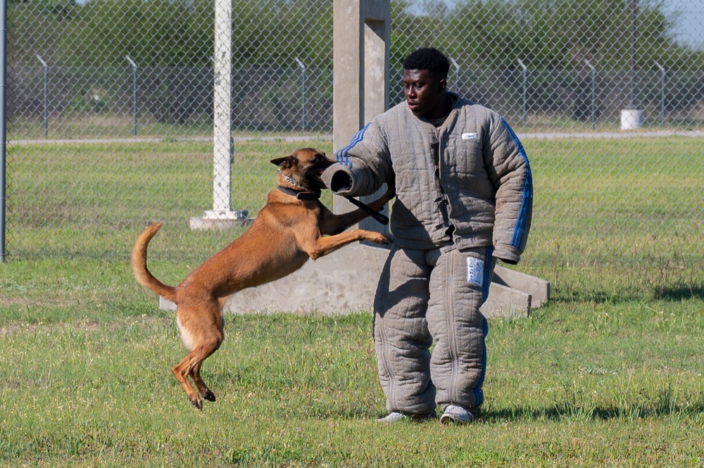 DVIDS Images Schertz Young Leaders Group JBSARandolph Base Tour