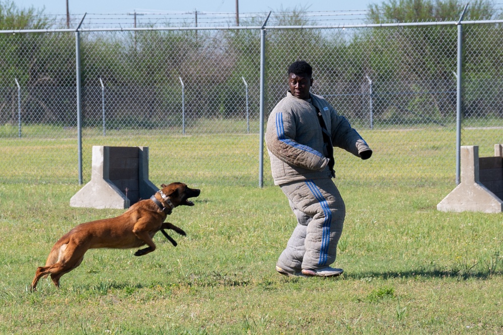 DVIDS Images Schertz Young Leaders Group JBSARandolph Base Tour