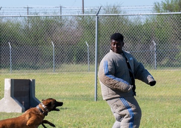 Schertz Young Leaders Group JBSA-Randolph Base Tour