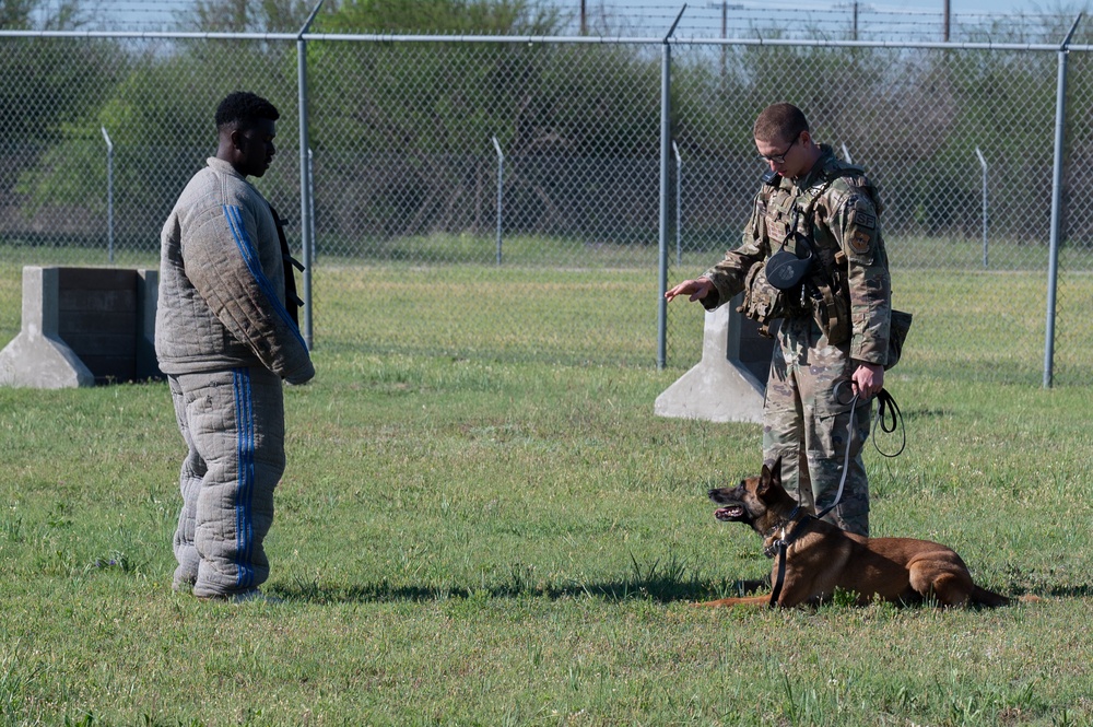 Dvids - Images - Schertz Young Leaders Group Jbsa-randolph Base Tour 