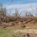 Massive Loss of Trees from Recent Tornado