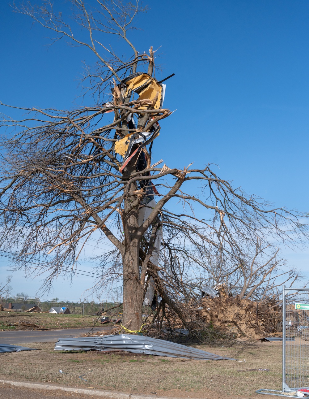 Tornado Wraps Pats of Homes Around Trees