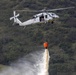 Service members train for annual firefighting exercise