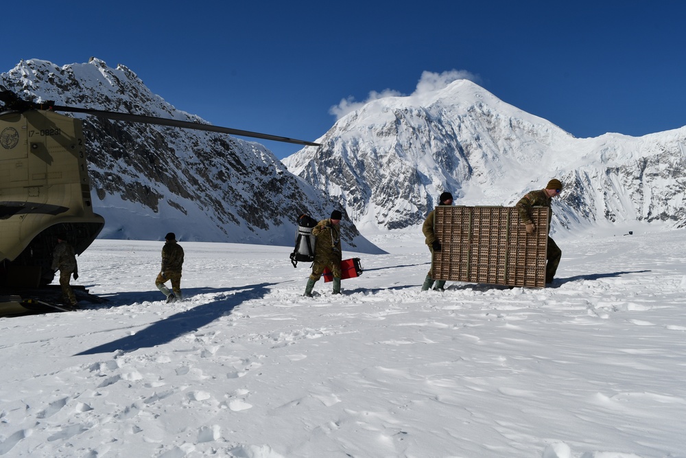 ‘Sugar Bears’ deliver supplies to Denali base camp