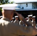 MRF-D Marines participate in the Anzac Day Parade